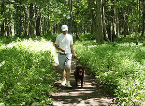 Bokke Nature Trail