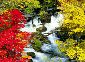 Takimi Bridge