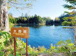 Lake Taro and Lake Jiro