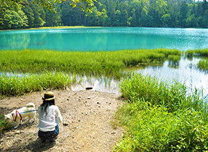 溫根湖(ONNETO LAKE)